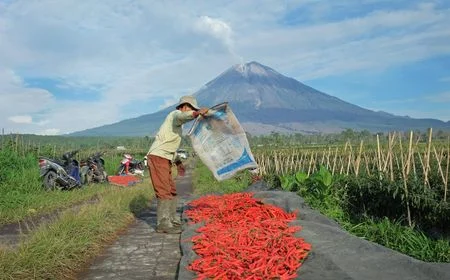 Fantastis! KUR BRI Tembus Rp84,36 Triliun, Jadi Senjata Ampuh Perkuat Ketahanan Pangan dan Ekonomi Kerakyatan