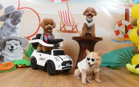 Siap-Siap! JIPS Hadirkan Kebun Bintang Mini deHakims hingga Museum Kucing, Catat Tanggalnya!