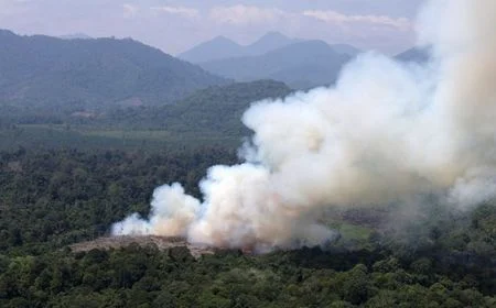 Asap Tebal Selimuti Kalimantan, Wagub Kalbar: Ini Bukan Gara-gara Petani, Tapi Korporasi!