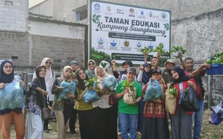 Lahan Sempit Tak Jadi Halangan! Taman Hujan Produktif Sulap Genangan Jadi Sayuran Segar