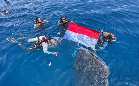 Merah Putih Berkibar di Bawah Laut Papua: Semangat Kemerdekaan Bersama Hiu Paus Nabire!