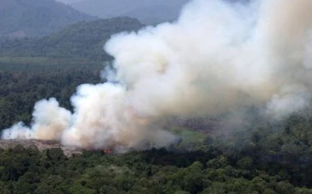 Hoax atau Fakta? Benarkah Isam Jadi Koordinator Penanganan Kebakaran Hutan di Kalimantan?