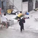 Tragedi di Bandung: Nasib Anak Kecil Viral yang Digigit Anjing Pitbull di Bandung, Luka Parah di Kepala dan Telinga!